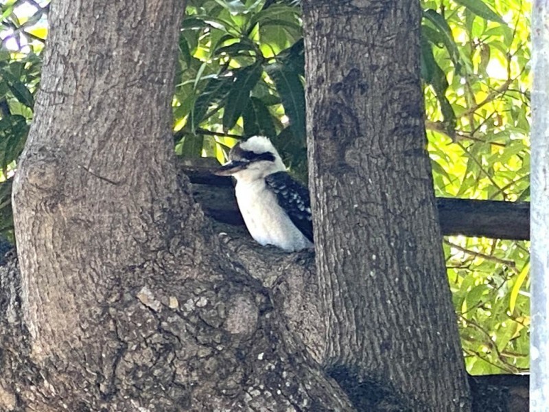 120 Powell Street, Bowen QLD 4805