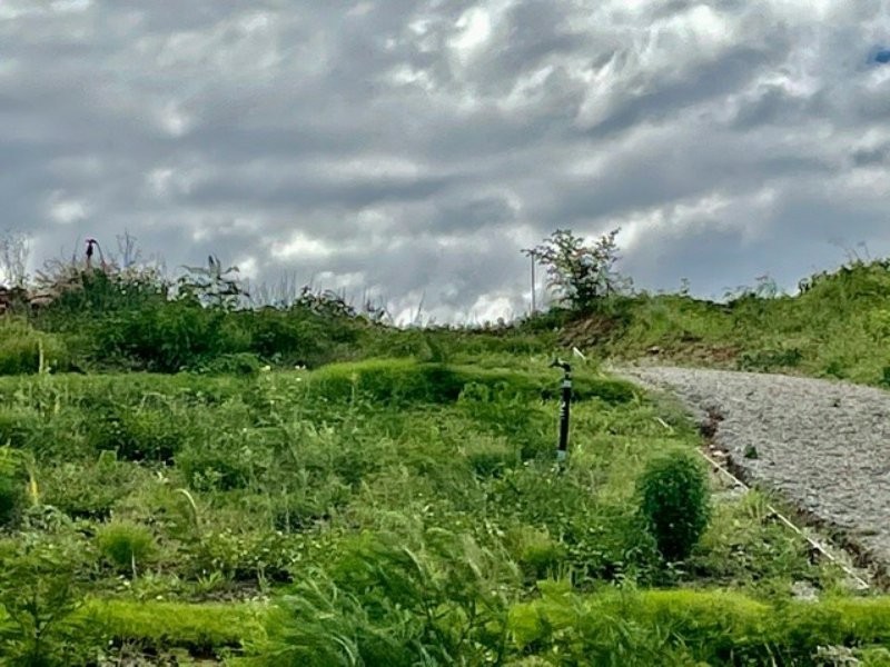 9 Grandview Tce, Bowen QLD 4805