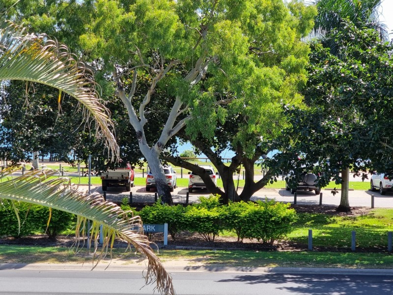 85 Horseshoe Bay Road, Bowen QLD 4805
