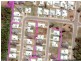 11 cowrie street, Bowen QLD 4805