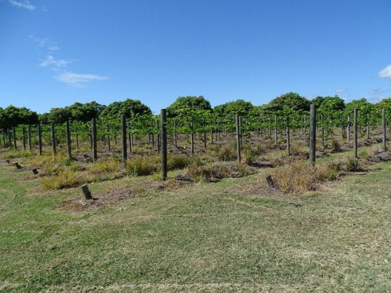 47 Flemington Road, Bowen QLD 4805