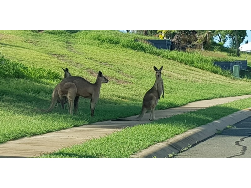 9 Links Road, Bowen QLD 4805