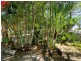 78 Herbert Street, Bowen QLD 4805
