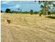 Lot 25 Adelaide Terrace, Bowen QLD 4805