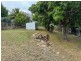 77 Poole Street, Bowen QLD 4805