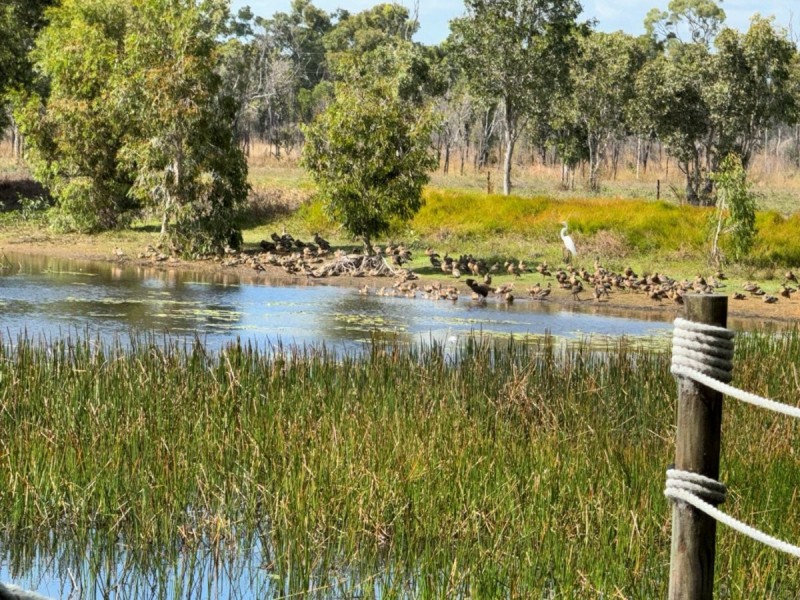 15354a Bruce Highway, Gregory River QLD 4800