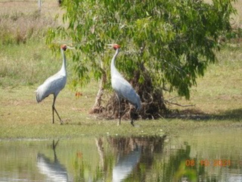 15354a Bruce Highway, Gregory River QLD 4800