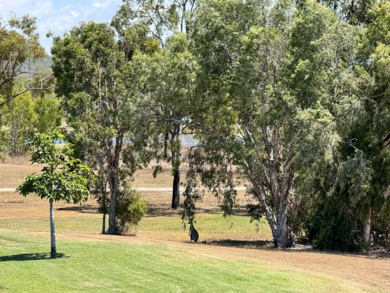 66 Ocean View Drive, Bowen QLD 4805