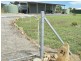 21 Lorikeet Cres, Bowen QLD 4805