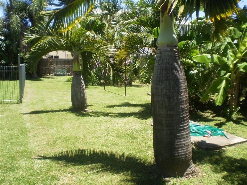 4 Tracey Street, Bowen QLD 4805