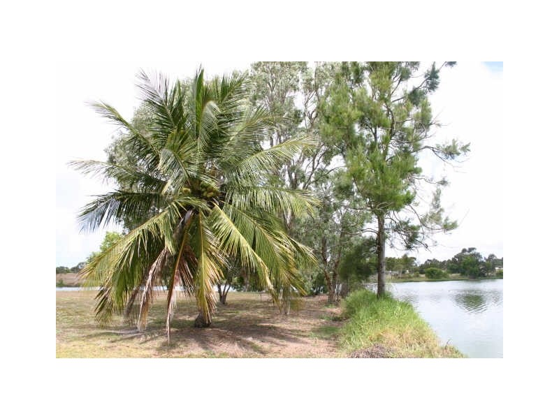 41 Hillview Road, Bowen QLD 4805