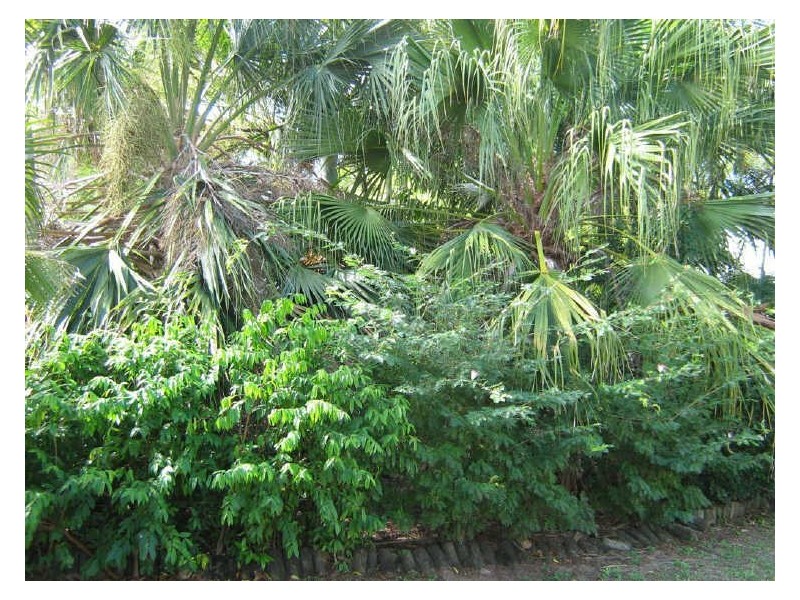 15 Russell Street, Bowen QLD 4805
