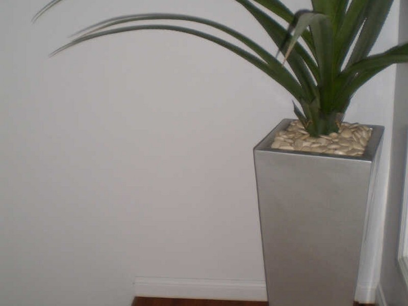 5 Poinciana Drive, Bowen QLD 4805