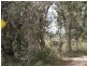 222 Mookara Road, Bowen QLD 4805