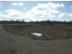 697 Bootooloo Road, Bowen QLD 4805