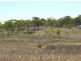 57 Africandar Road, Bowen QLD 4805