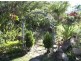 128a Mount Nutt Road, Bowen QLD 4805