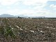 Lot 11 Wylie Park Road, Bowen QLD 4805