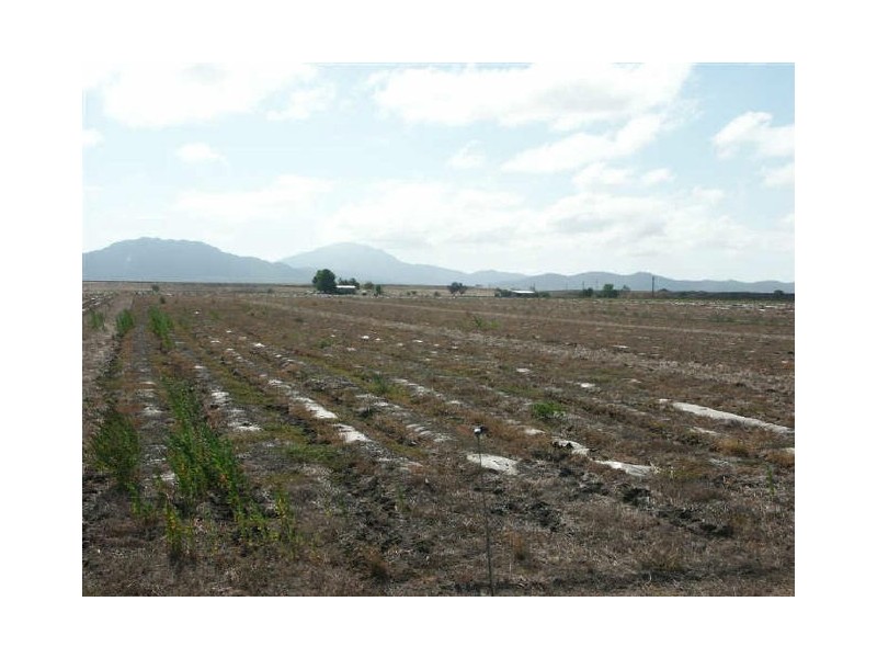Lot 11 Wylie Park Road, Bowen QLD 4805