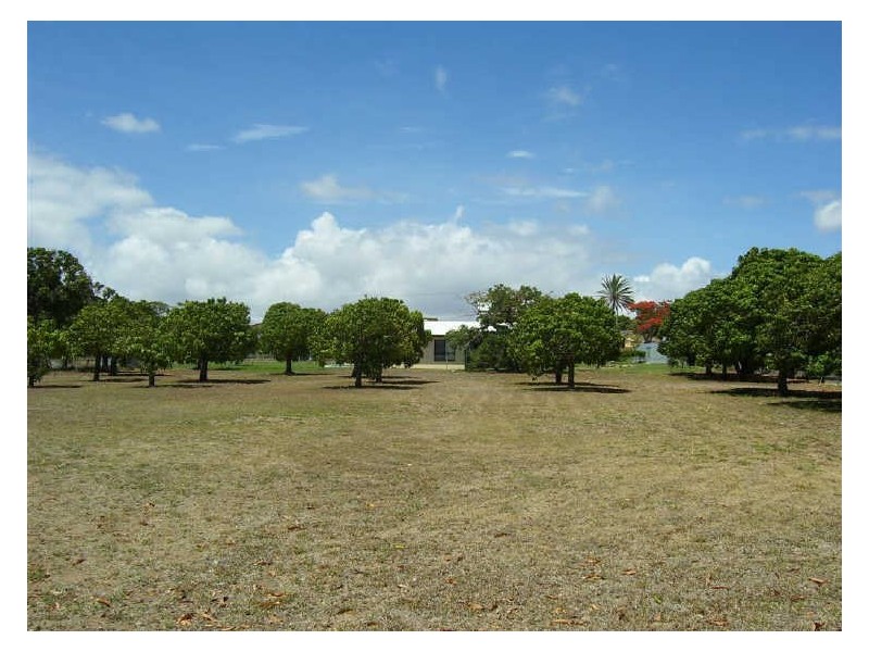 32 Livingstone Street & 99 Herbert Street, Bowen QLD 4805