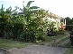 29 Murroona Street, Bowen QLD 4805