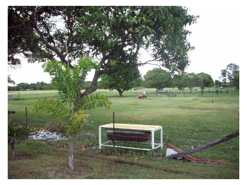 80 Hillview Road, Bowen QLD 4805