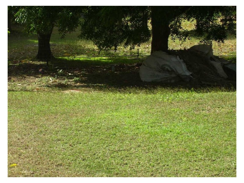 2 Howard Street, Bowen QLD 4805