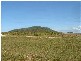 Lot 7 Dray’s Road, Bowen QLD 4805