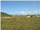 Lot 7 Dray’s Road, Bowen QLD 4805