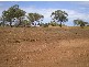 Lot 4 Dray’s Road, Bowen QLD 4805