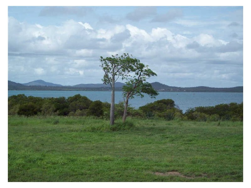 48 Wentworth Street, Bowen QLD 4805