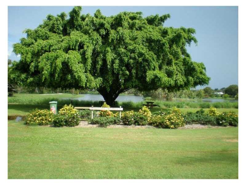 13 Soldiers Road, Bowen QLD 4805