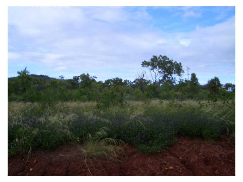 Lot 5 Bayview Crescent, Bowen QLD 4805