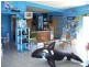 Bowen Pools & Pumps, Bowen QLD 4805