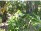 59 Whitsunday Street, Bowen QLD 4805