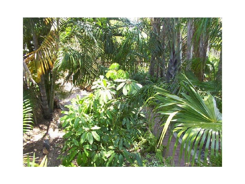 59 Whitsunday Street, Bowen QLD 4805