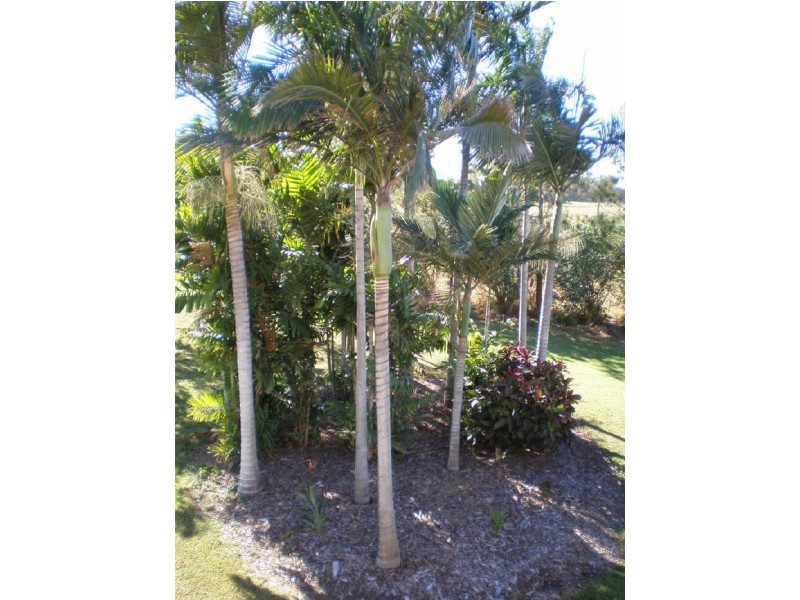 171 Telegraph Road, Bowen QLD 4805