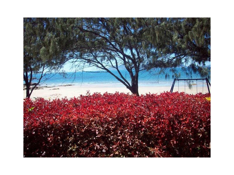 1/2 Pandanus Street, Bowen QLD 4805