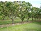 312 Richmond Road LOWER DON, Bowen QLD 4805