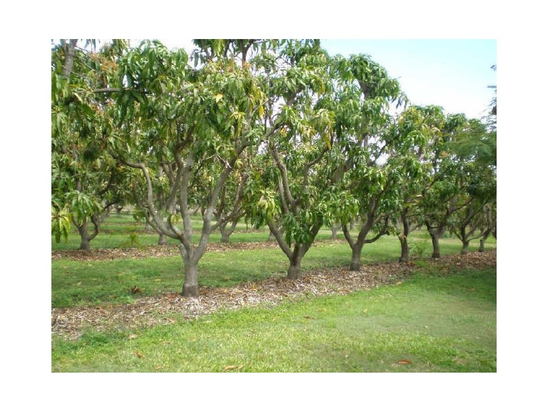 312 Richmond Road LOWER DON, Bowen QLD 4805