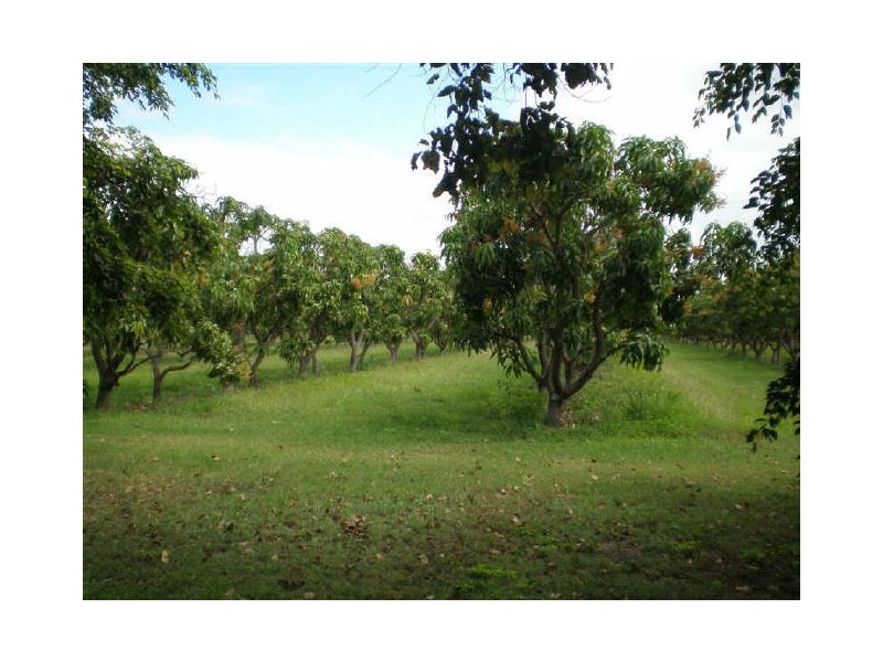 312 Richmond Road LOWER DON, Bowen QLD 4805