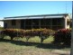 11 Golf Links Road, Bowen QLD 4805