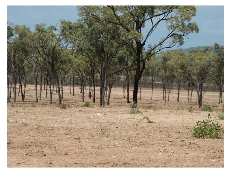 Lot 43 Seabreeze Crescent, Bowen QLD 4805