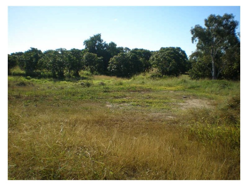 66 Hillview Road, Bowen QLD 4805