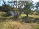 66 Hillview Road, Bowen QLD 4805