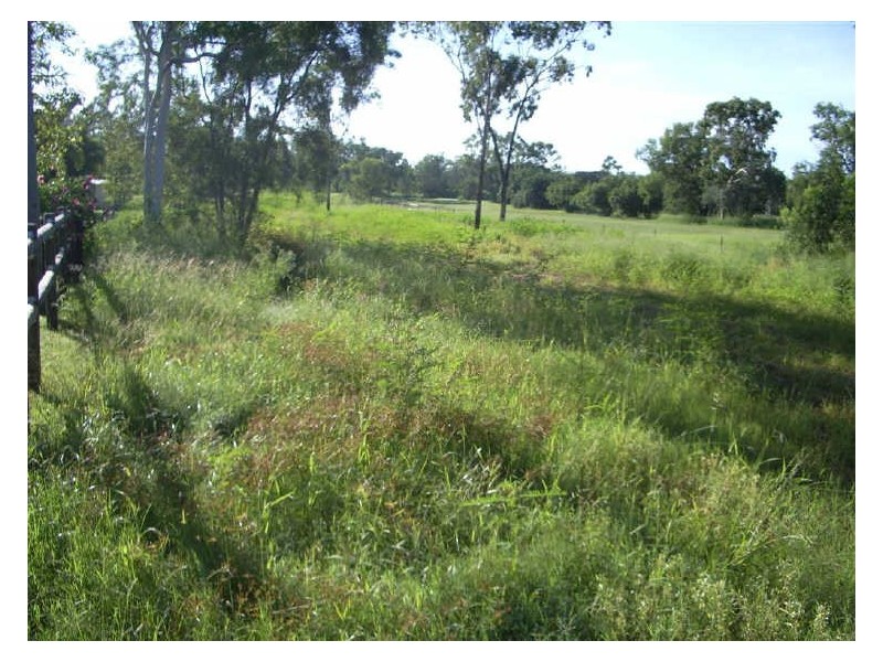 Lot 35 Fairway Street, Collinsville QLD 4804