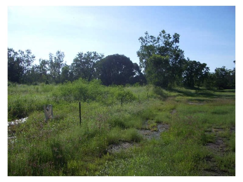 Lot 35 Fairway Street, Collinsville QLD 4804