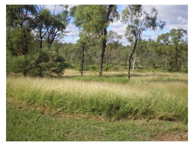 34 Fairway Drive, Bowen QLD 4805