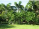 32 Murroona Street, Bowen QLD 4805