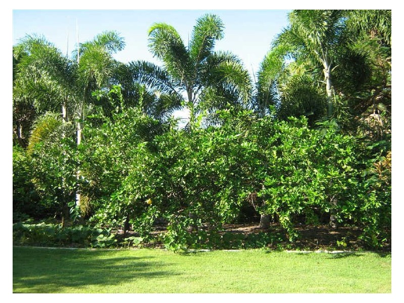 32 Murroona Street, Bowen QLD 4805